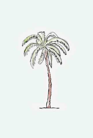 kaart in de vorm van een palmboom  1066616 assorti ONE
