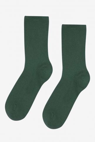 sokken CS6002 donker groen ONE