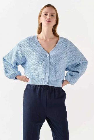 lichtblauwe relaxed fit cardigan zhour knitted cardigan