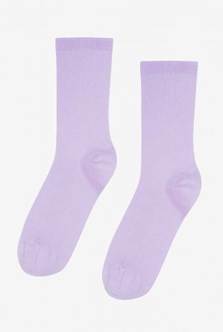 sokken CS6002 soft lavender ONE
