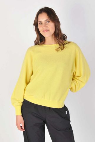 Gele sweater ausiria